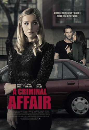 A Criminal Affair FRENCH WEBRIP LD 2021