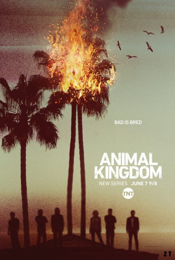 Animal Kingdom S01E03 FRENCH HDTV