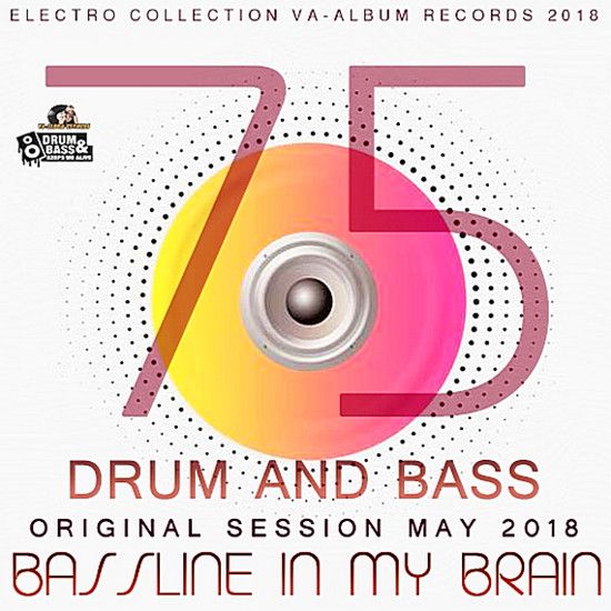 Bassline In My Brain 2018