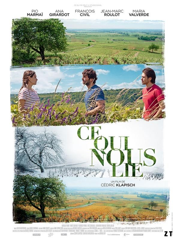 Ce qui nous lie FRENCH BluRay 720p 2017