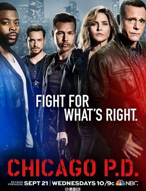 Chicago Police Department Saison 1 FRENCH HDTV