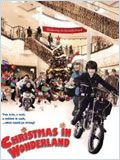 Christmas in Wonderland FRENCH DVDRIP 2010