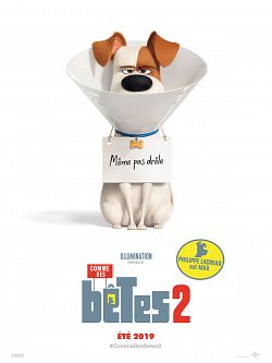 Comme des bêtes 2 FRENCH DVDRIP 2019