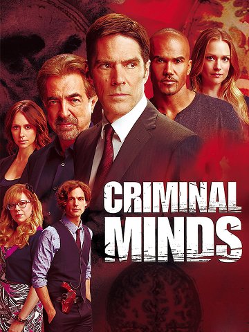 Esprits criminels (Criminal Minds) S11E17 FRENCH