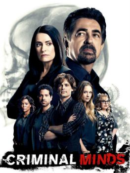 Esprits criminels (Criminal Minds) S13E21 FRENCH