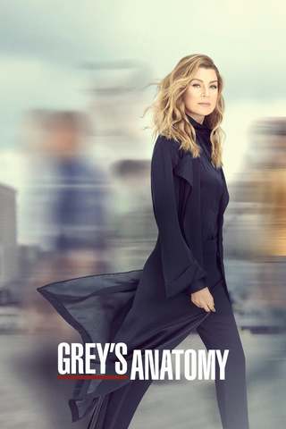 Grey's Anatomy S16E04 VOSTFR HDTV