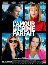 L'Amour est un crime parfait FRENCH DVDRIP x264 2014