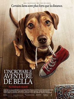 L'Incroyable aventure de Bella FRENCH WEBRIP 1080p 2019