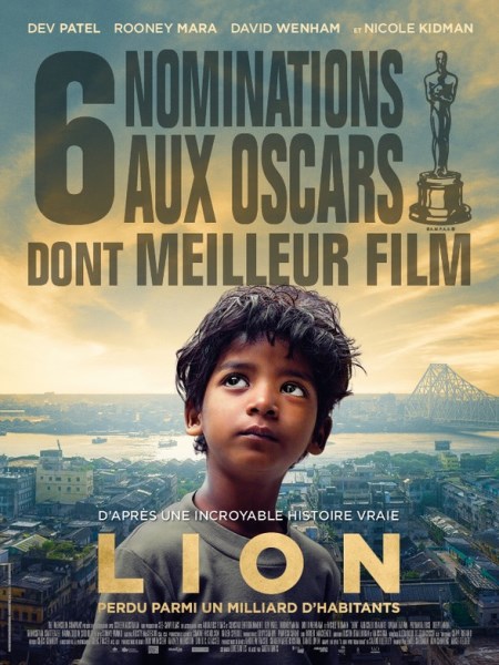 Lion FRENCH DVDRIP x264 2017