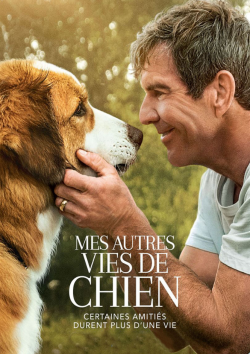 Mes autres vies de chien TRUEFRENCH BluRay 1080p 2019