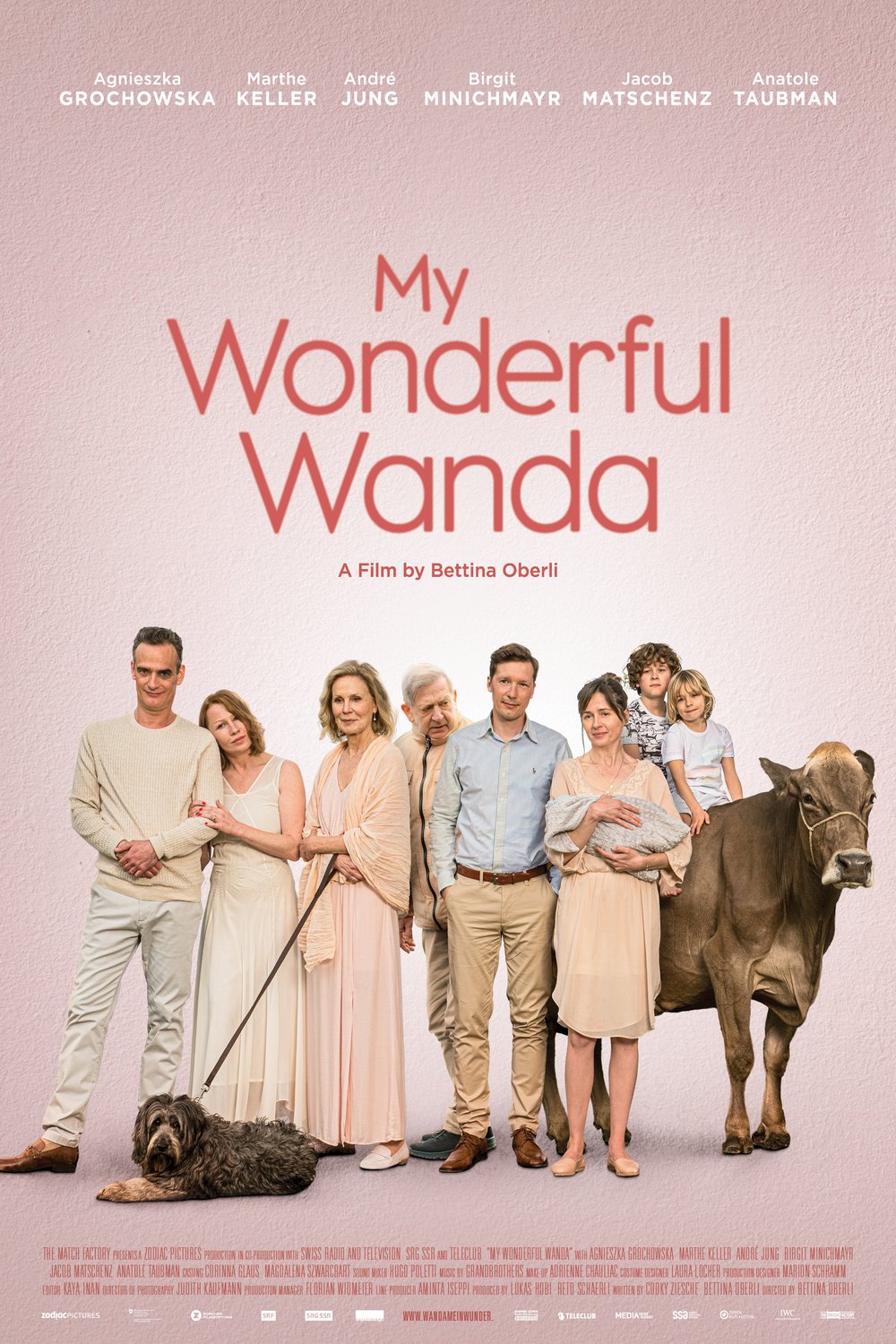 My Wonderful Wanda FRENCH WEBRIP 1080p 2022