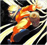 Naruto Shippuden 220 VOSTFR