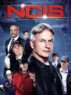 NCIS S13E11 VOSTFR HDTV