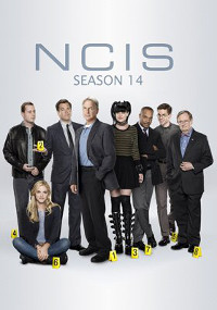 NCIS S14E09 VOSTFR HDTV