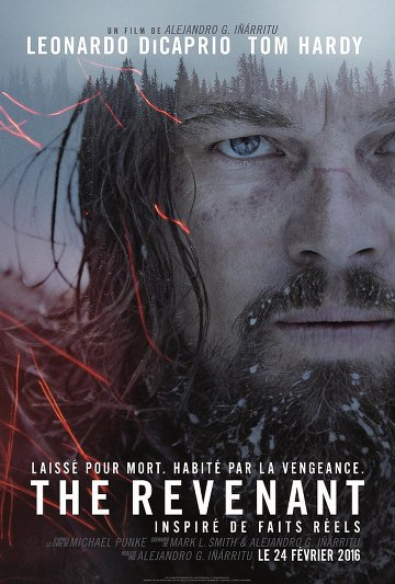 The Revenant VOSTFR BluRay 720p 2016