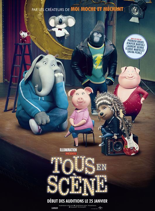 Tous en scène FRENCH BluRay 720p 2017