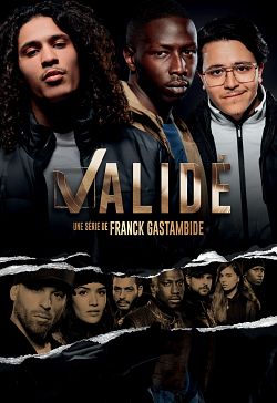 Validé Sausin 1 FRENCH HDTV